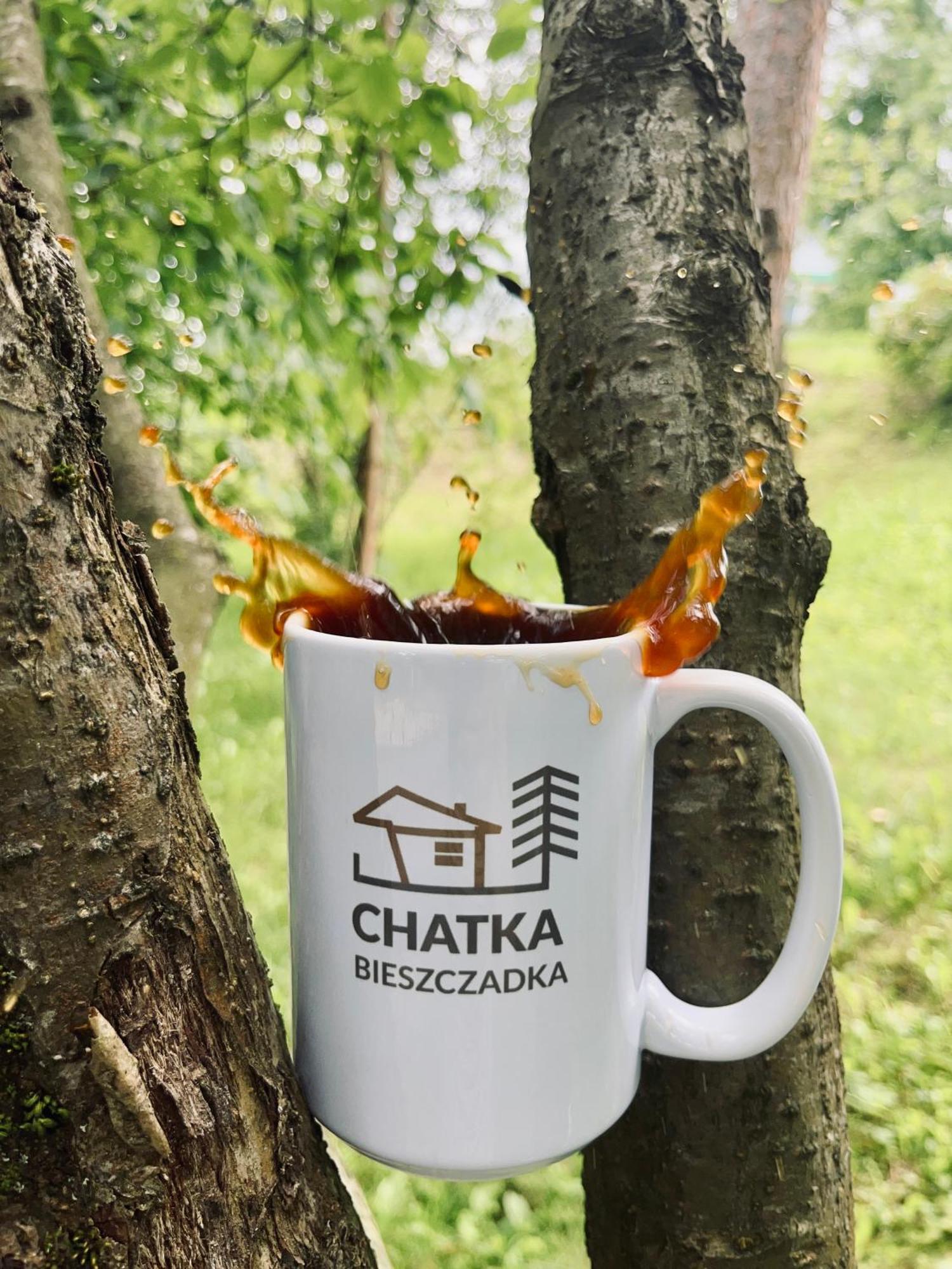 Chatka Bieszczadka Villa Baligrod Ngoại thất bức ảnh